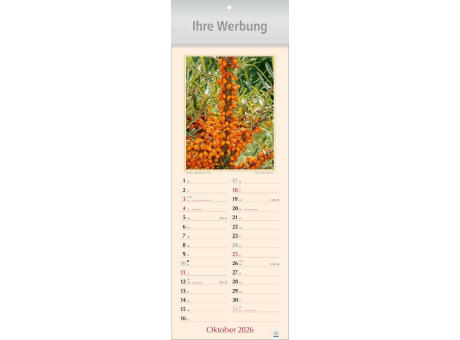 Gesund durch Heilkräuter