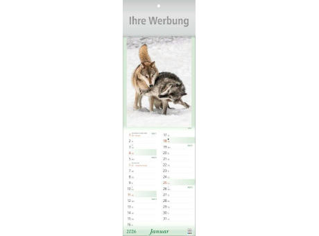 Tier-Freunde