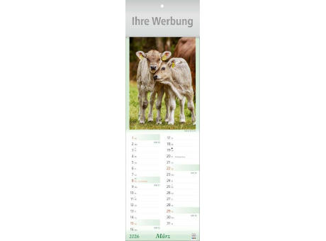 Tier-Freunde
