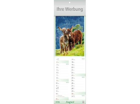 Tier-Freunde