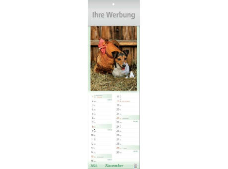 Tier-Freunde