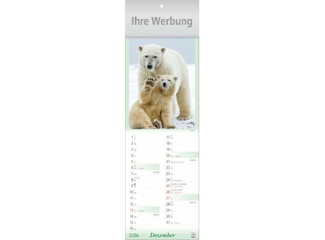 Tier-Freunde