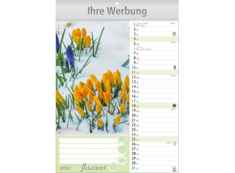 Günthers Gartenplaner