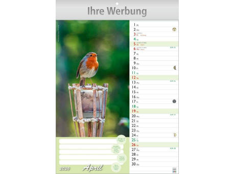 Günthers Gartenplaner