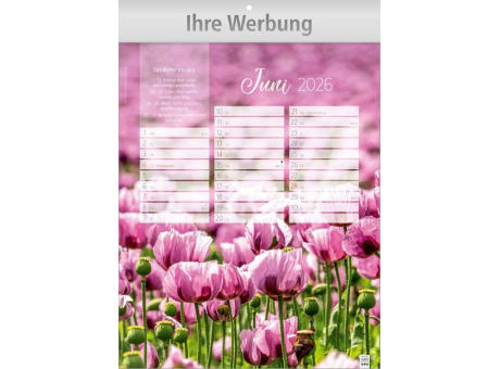 Jahreszeiten