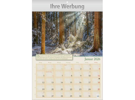 Hildegard von Bingen