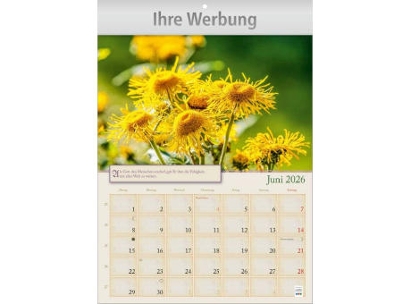 Hildegard von Bingen