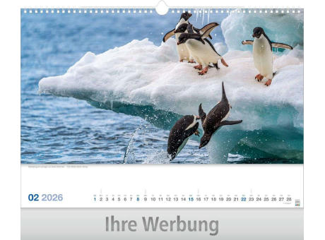 Lebendiges Wasser