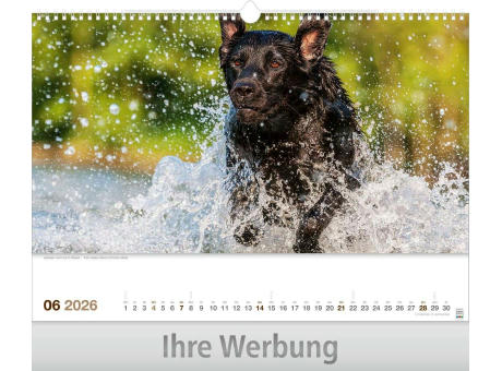 Lebendiges Wasser