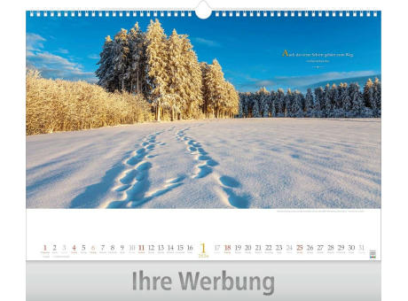 Wege mit Weitblick