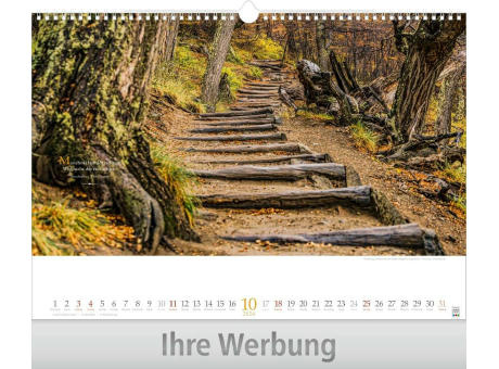 Wege mit Weitblick