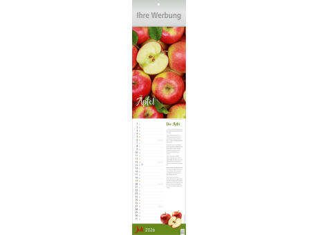 Früchte im Fokus