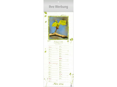 Kleine Träume für große Augenblicke