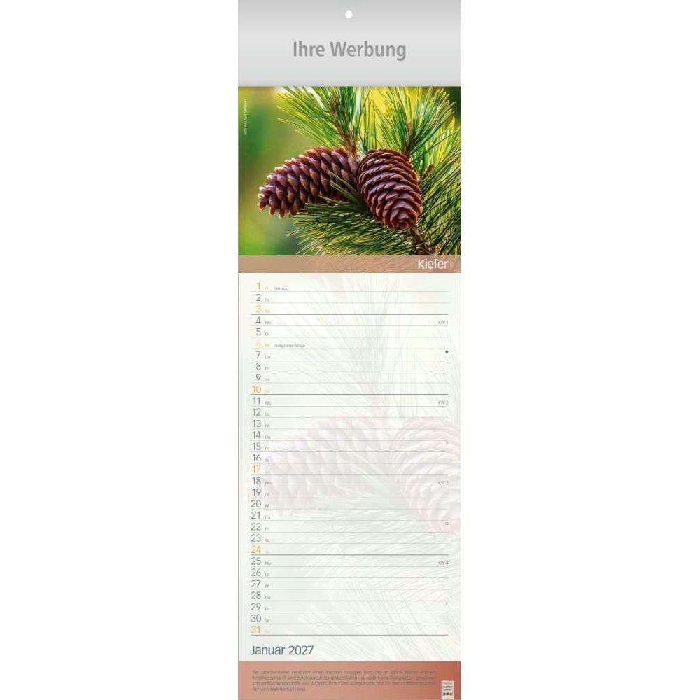 Erlebnis-Welt der Düfte