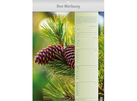 Erlebnis-Welt der Düfte