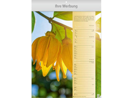 Erlebnis-Welt der Düfte