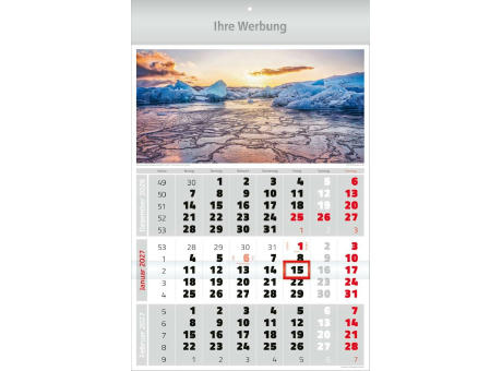 Dreimonatsbildplaner Combi 3