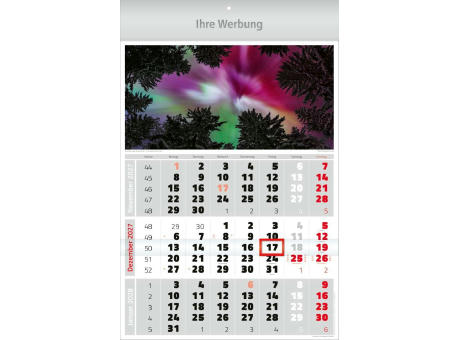 Dreimonatsbildplaner Combi 3