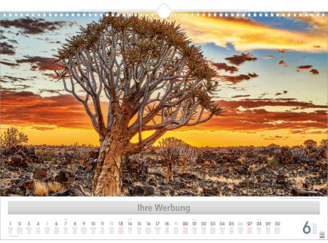 Wunderwerke der Natur