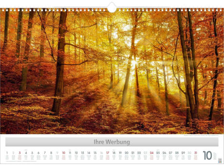 Wunderwerke der Natur