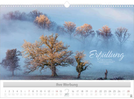 Einzigartige Momente