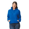 Sudadera Dryblend® capucha 