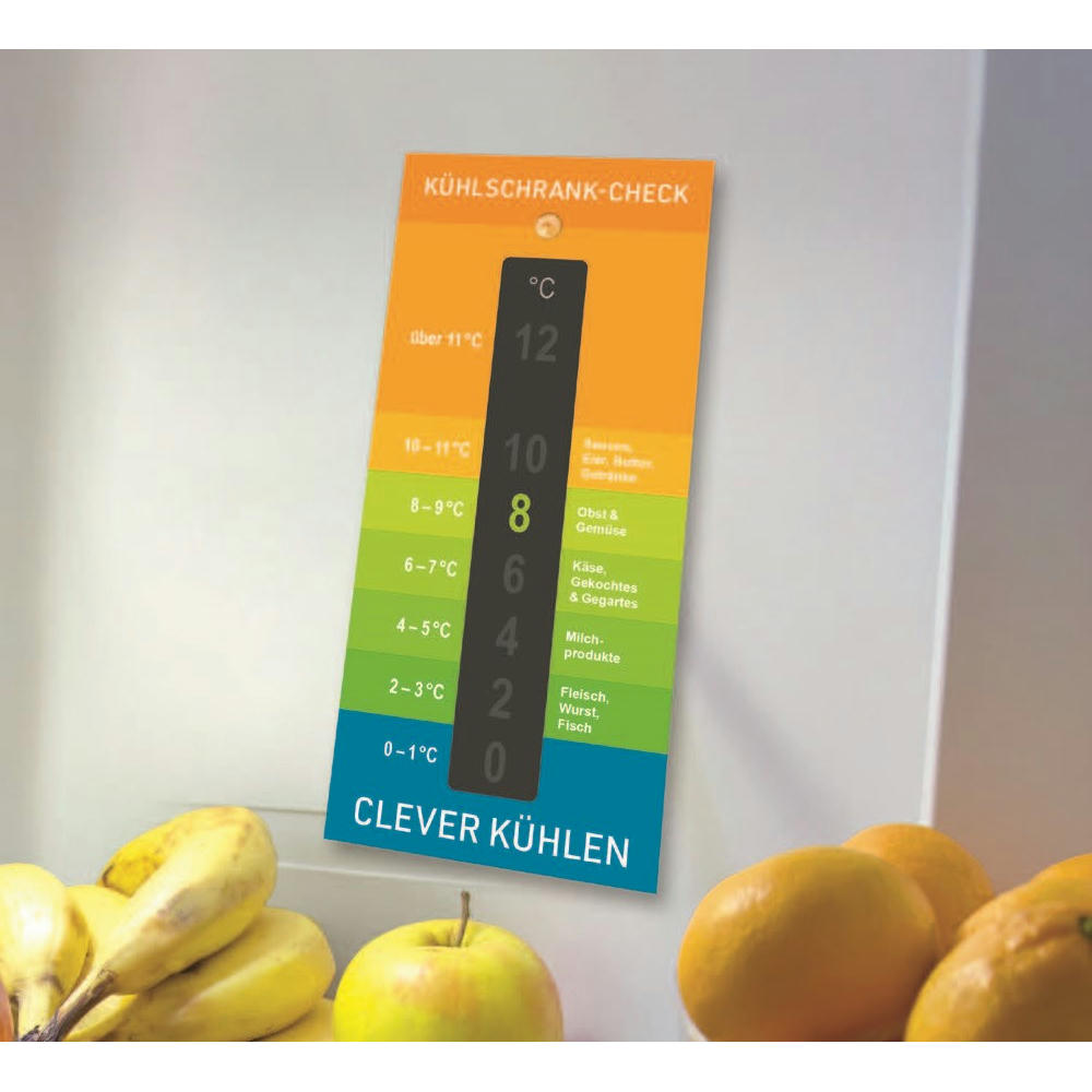 Kühlschrank-Check