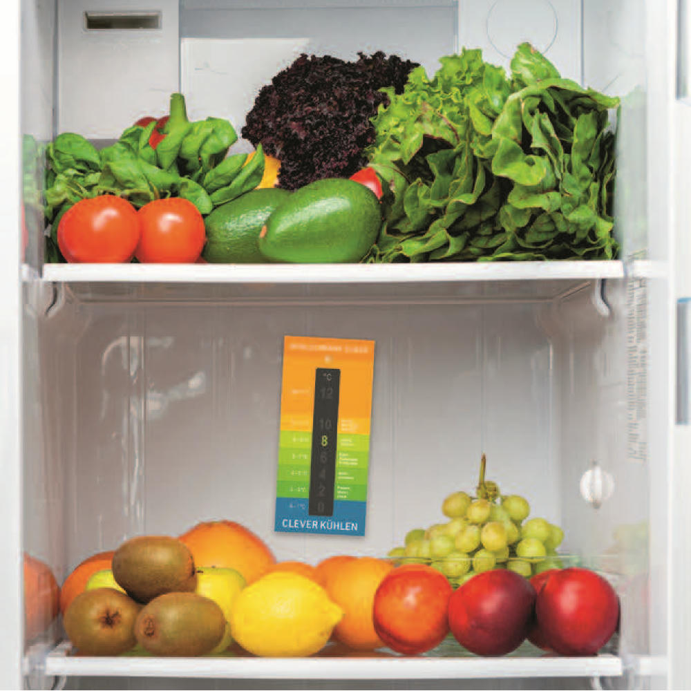 Kühlschrank-Check