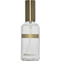 Wellmark 100 ml Raumspray