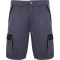 Tahoe Arbeitsshorts, 250 g/m2