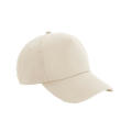Authentic 5 Panel Cap