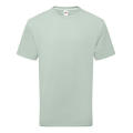 Pure Cotton T