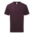 Pure Cotton T