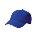 Pro-Style Heavy Brushed Cotton Cap