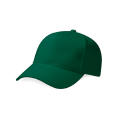 Pro-Style Heavy Brushed Cotton Cap