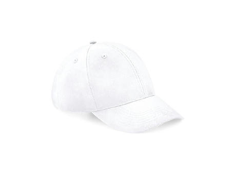 Recycled Pro-Style Cap