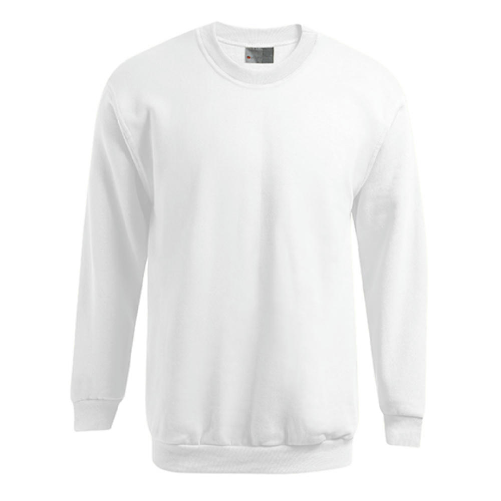 Men´s New Sweater 100