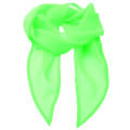 Women´s Colours Collection Chiffon Scarf