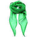 Women´s Colours Collection Chiffon Scarf