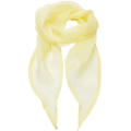 Women´s Colours Collection Chiffon Scarf