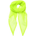 Women´s Colours Collection Chiffon Scarf