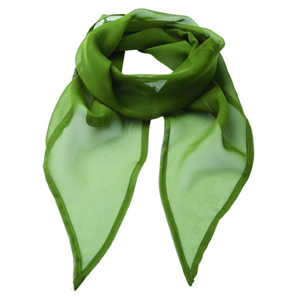 Women´s Colours Collection Chiffon Scarf