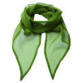 Women´s Colours Collection Chiffon Scarf