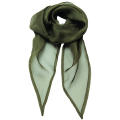 Women´s Colours Collection Chiffon Scarf