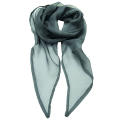 Women´s Colours Collection Chiffon Scarf