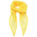 Women´s Colours Collection Chiffon Scarf