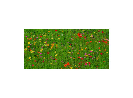 Geschenkartikel / Präsentartikel: Blumenwiese Bee Happy, 3 Saatkugeln im Säckchen
