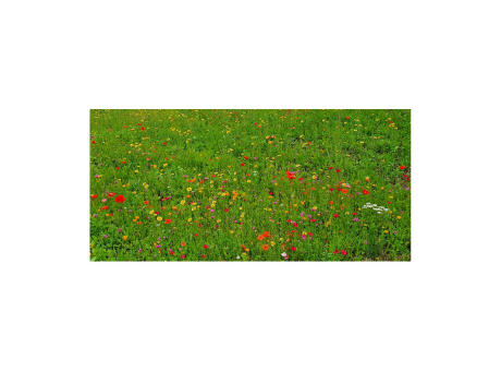 Geschenkartikel / Präsentartikel: Blumenwiese Bee Happy, 3 Saatkugeln im Säckchen