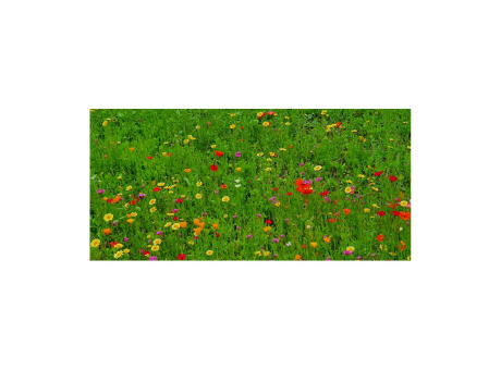 Geschenkartikel / Präsentartikel: Blumenwiese Bee Happy, 3 Saatkugeln im Säckchen