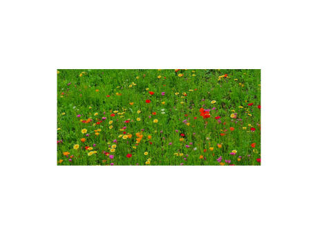 Geschenkartikel / Präsentartikel: Blumenwiese Bee Happy, 3 Saatkugeln im Säckchen